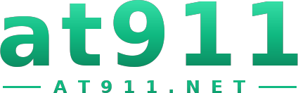 at911 logo